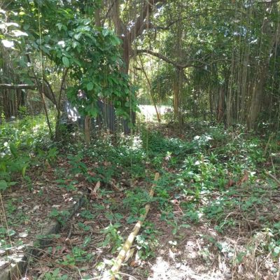 Nusa Dua Farm Lot